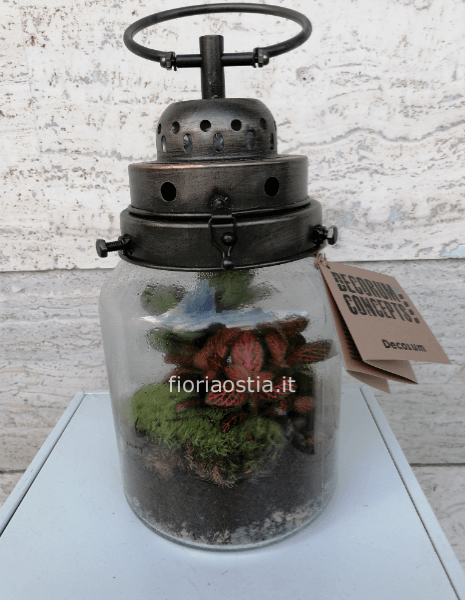 TERRARIUM EDEN CON BONSAI E PIANTE TROPICALI. CONTATTACI PER MISURE E  PREZZI » Fiori a Roma, fiorista a Roma vende online fiori e piante con  consegna a domicilio.